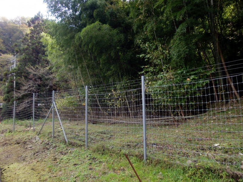 【鳥獣被害特集】鳥獣被害から生活を守る 地域一体で効果的対策